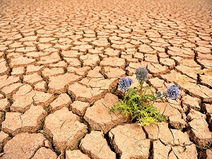 2050'ye kadar yarım milyon insan tehdit altında