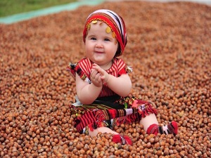 'Fındık üreticisi altın yılını yaşayacak'