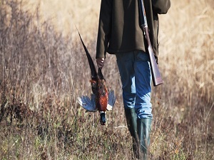 Bu yasağa uymayan yandı