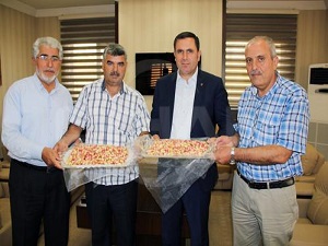 Yılın ilk Antep fıstığı yetiştirildi