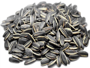 Çekirdek çitlememiz için 5 önemli neden