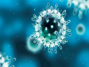 Dikkat! Evinizde ‘9000 mikrop türü' ile yaşıyorsunuz