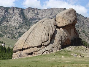 Kaplumbağa şeklindeki kaya hayrete düşürüyor