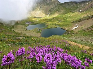 Karadeniz'in keşfedilmeyi bekleyen güzelliği