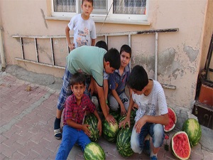 Bütün köy karpuza doydu