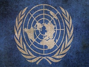 BM'den Türkiye'ye ‘güvenli bölge' uyarısı