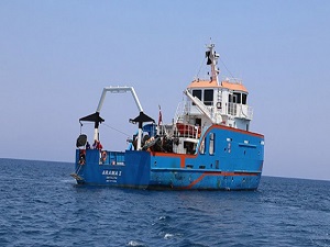 Arama 1 balık stokunu inceliyor