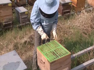 Keşfedilmemiş besin deposu