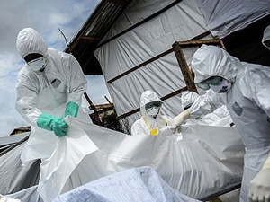Ebola aşısında yüzde 100 başarı