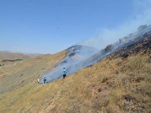 İşte Türkiye’nin yangın haritası