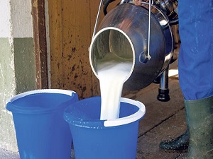 Sütte sanayicinin istediği oldu, fiyat aynı kaldı