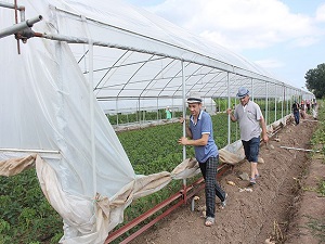 Karadenizli çift raylı sera sistemi geliştirdi