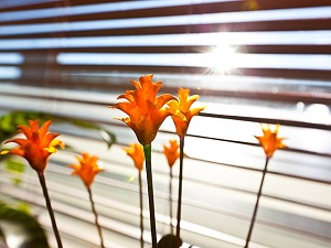 Kabızlık için sabah aç karnına 2 su bardağı ballı ılık su için'