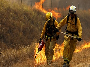 13 bin kişi tahliye edilyor