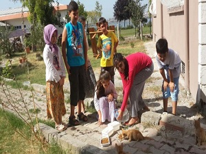 Sıcak yaz günlerinde sokak hayvanlarını unutmadılar