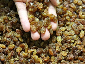 Kuru üzüm üretiminde 'büyük düşüş' bekleniyor!