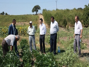 Soya üretimini arttırmak için harekete geçtiler