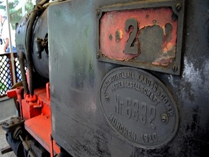 Dünyada başka örneği yok