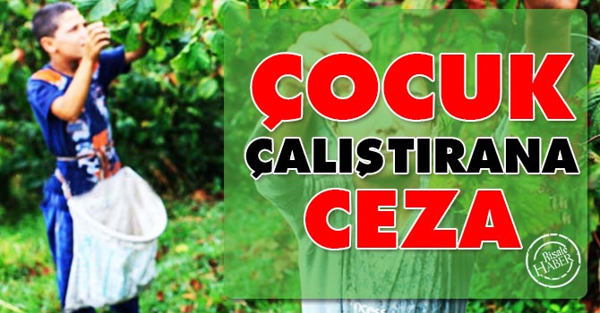 Çocuk çalıştırana ceza