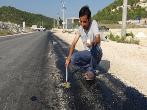 Asfaltta yumurta pişirdiler!
