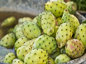 Kansere karşı mucize kalkan