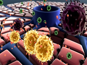 Ölüme götüren hastalık: Karaciğer kist hidatiği