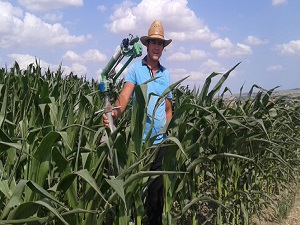 Çiftçinin aşırı sıcakta zorlu mesaisi