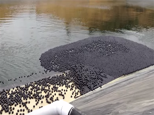 96 milyon top kuraklığı çözdü