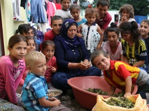 Fındık hasadının görünmeyen yüzü