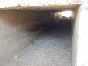 Bu yaya geçidine girenler çıkamıyor