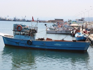 Fırtına artık balıkçılar için dert değil