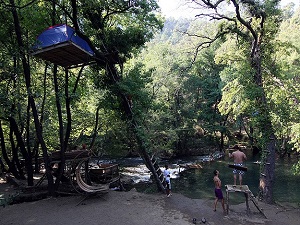 Karadenizli işletmeciden ağaçta kamp çadırı