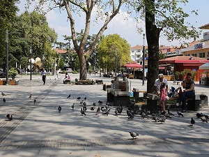 Gölcük yıkıntılar arasında yeniden filizlendi