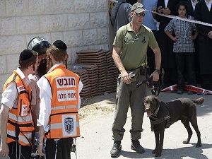 Yahudi yerleşimci aracıyla Filistinli çocuğa çarptı