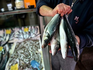 AB'den Türk levrek ve çipurasına vergi tehdidi