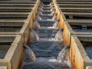 İZSU’dan üreticiye çağrı: Suyumuza sahip çıkın