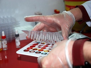 TÜRKÖK dünyaya umut olacak