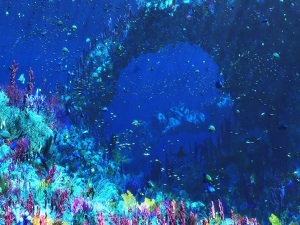 Deniz canlılarına dokunmayın