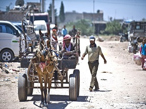 Suriyeliler 'güvenli bölge'yi bekliyor