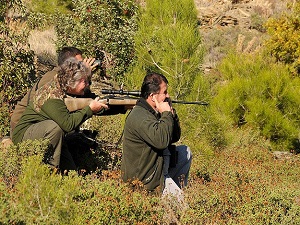 Ayı avlamanın bedeli 10 bin lira