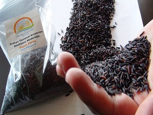 Karbonhidrat oranı düşük 'diyet pirinç' çıktı