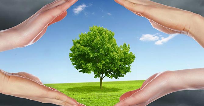 TEMA Vakfı'ndan siyasilere çağrı