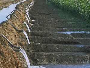 Bakan Eroğlu: 'Yüz yıllık rüya mavi tüneli gerçeğe dönüştürdük
