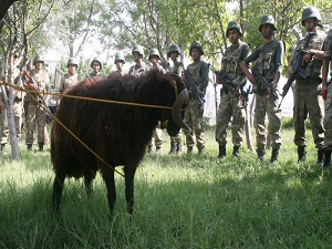 Faciadan dönen karakolda kurban kesildi