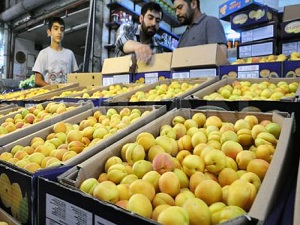 Malatya'da sezonun son kayısısı 7 TL'den tezgahta