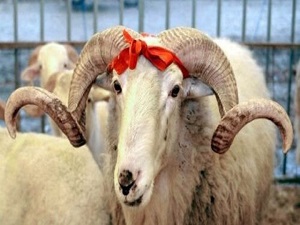 9 günlük tatil turizm sektörüne de bayram yaşattı