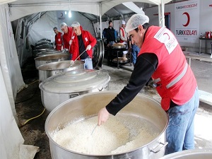 Türk Kızılayı'ndan Artvin hamlesi