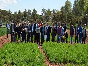 Tarım ekonomistlerine sertifikalı eğitim