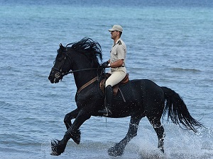 Süvari atları Bursa'da yetiştiriliyor
