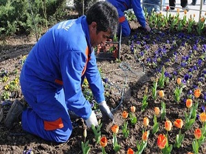 Özelleştirme mağduruna kamuda istihdam güvencesi
